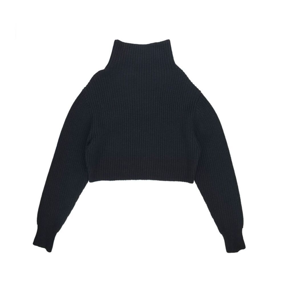 ARITZIA Wilfred Montpellier Merino Wool Waist Turtleneck Crop Sweater Minimal